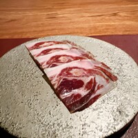 Potoro - 