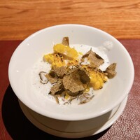 Potoro - 