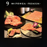 PONGA PREMIUM - 