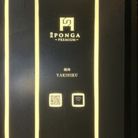 PONGA PREMIUM - 