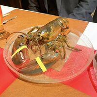 鉄板焼き 表参道 - 