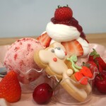 おといちご様⭐︎ おといちご様⭐︎ いちご いちご 国内2月18日/25日発売予定】