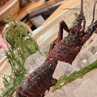 三宅輝 - 