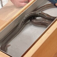 三宅輝 - 