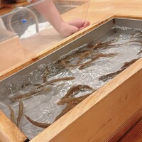 三宅輝 - 