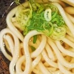 Hanamaru Udon - 