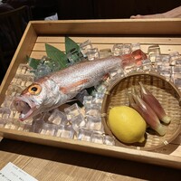 のどぐろ専門 銀座 中俣 - 