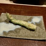 くすのき - モロッコインゲン