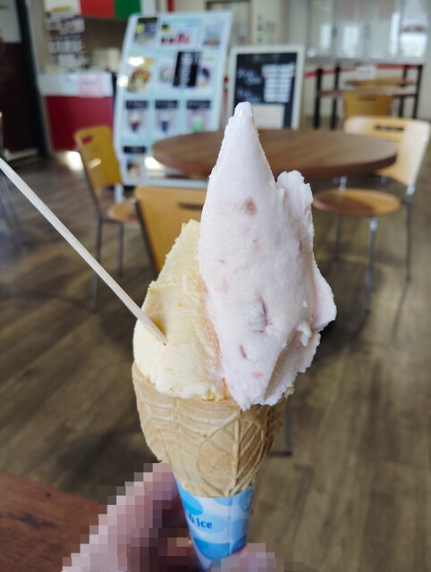 アグリランドひな産直センター - さくらんぼ東根（その他）の写真