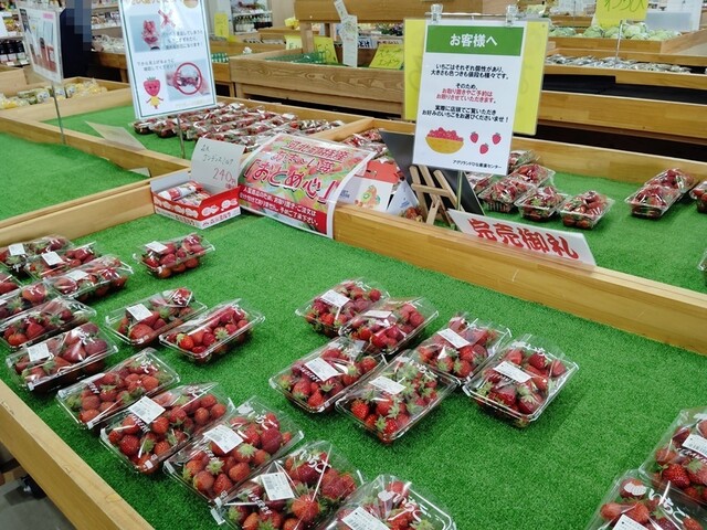 アグリランドひな産直センター - さくらんぼ東根（その他）の写真