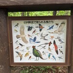 サントリー白州蒸溜所 - 