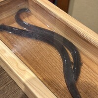 にょろ助 銀座 - 