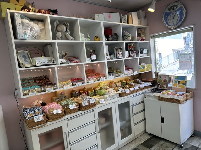 French Kashi Anfini photo 3