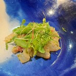 セルサルサーレ - 