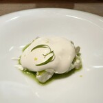 セルサルサーレ - 