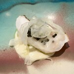 セルサルサーレ - 