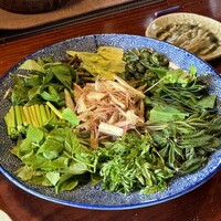 飛騨季節料理 肴 - 