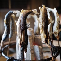 飛騨季節料理 肴 - 