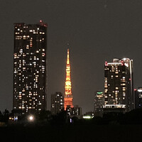 屋形船 品川 船清 - 