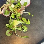 MAIN DINING by THE HOUSE OF PACIFIC - 