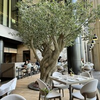 ジャヌ メルカート - 