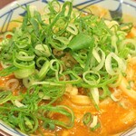 Marugame Seimen - 青ねぎ、たぬきオン