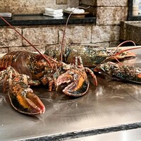 ステーキハウス 壹番 - 