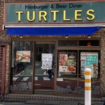 Turtles - 