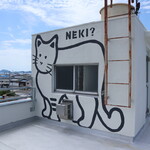 EKINONEKI - 