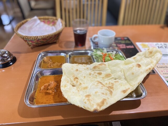 India Nepalese Rhino