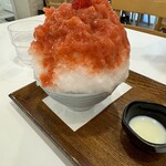 コオリヤ ユキボウシ - 