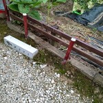 スープランド糸 - 