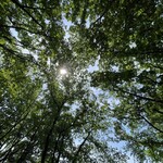 和牛ステーキ桜 - 