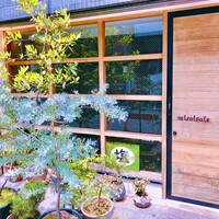 セルサルサーレ - 