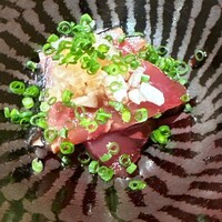 匠 進吾 - 鰹　わけぎ