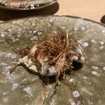 厳選焼鳥一石三鳥 - 