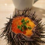 MICHI FISH&OYSTER - うに パンナコッタ ウニといくら下にはうにクリームの茶碗蒸し?のような クリーム状のものが入って、おしゃれ 前菜 です