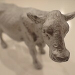 トーコーキッチン - 牛