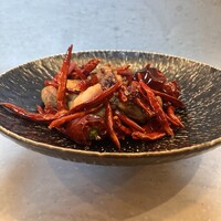 CINA New Modern Chinese - 
