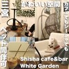 シーシャカフェバー ホワイトガーデン