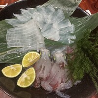 鯖とか烏賊とか真とか - 