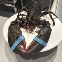 PLEIN 銀座本店 - 