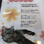 Link - モフちゃん