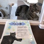 Link - ヘレン君　について