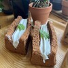 ケイのシフォンケーキ - 