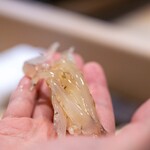 うを徳 - 2024.5 石狩産白魚