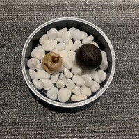 しまなみふれんち Murakami - 