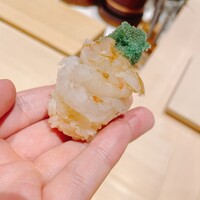 姫沙羅 - 