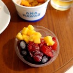 ANA SUITE LOUNGE、ANA LOUNGE - 