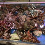 糸満漁業協同組合 お魚センター - 